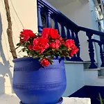 A Alma Portuguesa ゲストハウス 4*