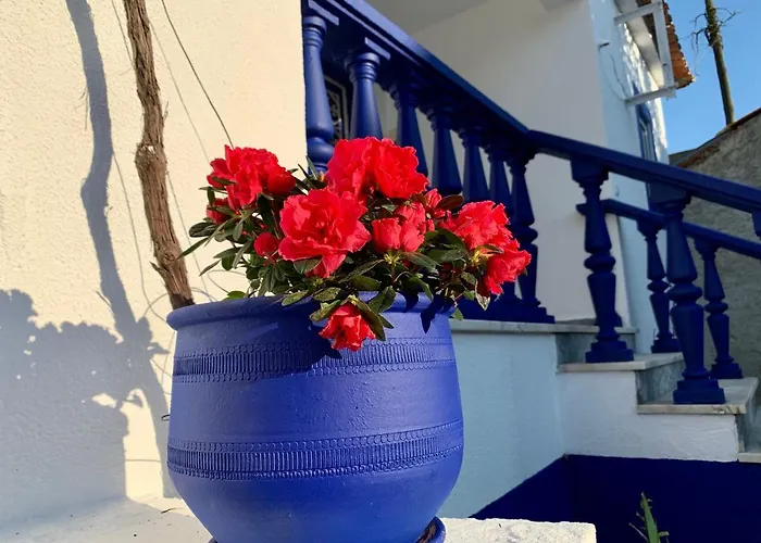 A Alma Portuguesa ゲストハウス 4*